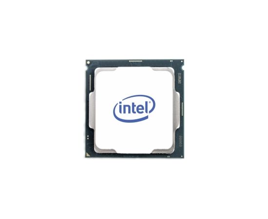 Intel Core i5-11600K TRAY