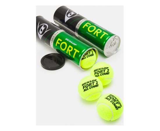 Tennis balls Dunlop FORT ALL COURT 3-tin