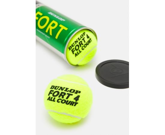 Tennis balls Dunlop FORT ALL COURT 3-tin