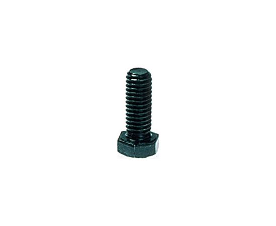 BIG screw 3/8" 25mm